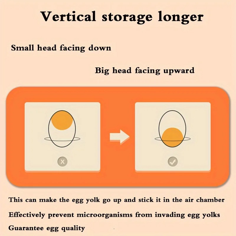 صندوق تخزين البيض للمطبخ، صندو - مراجعة Food Storage Eggs وسعره