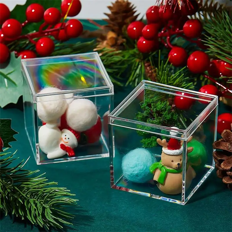 12 قطعة من صناديق الأكريليك ال - مراجعة Xmas Food Storage Containers وسعره
